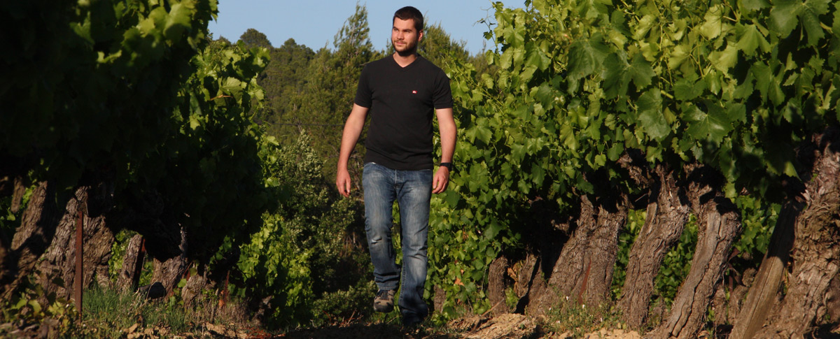 Vin Côtes-du-Rhône